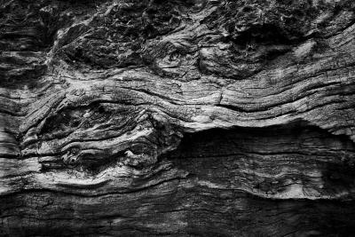 Holz