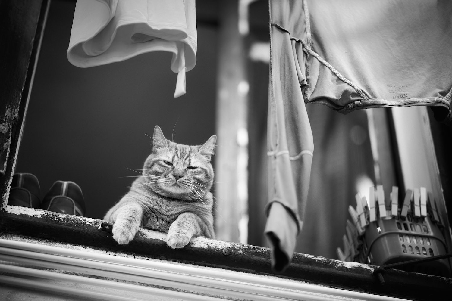 I'm watching you