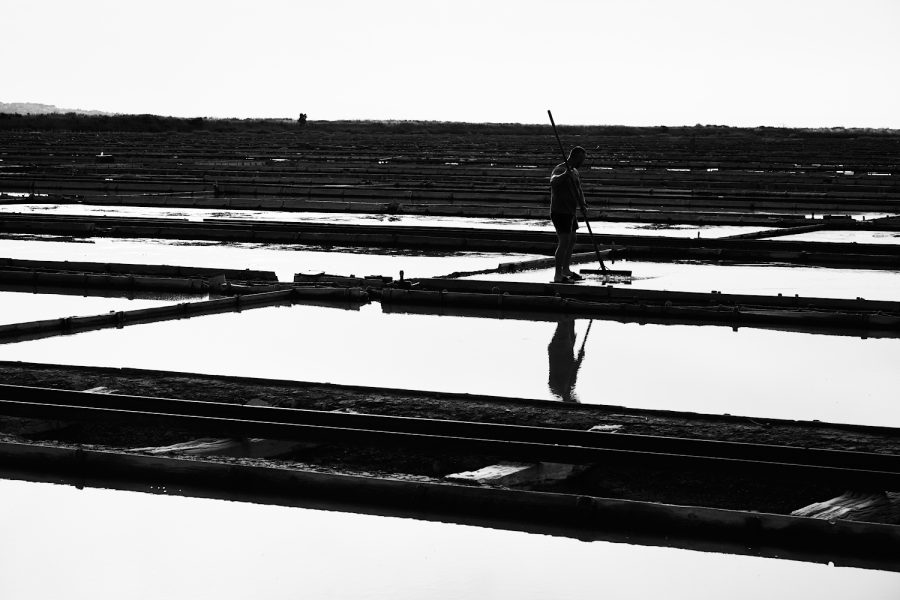 Saline