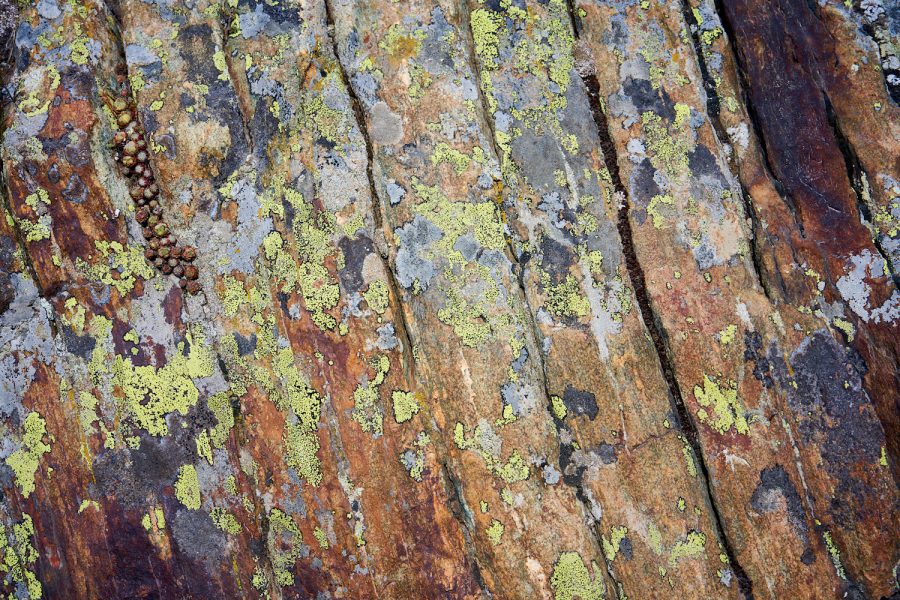 Abstrakte Natur