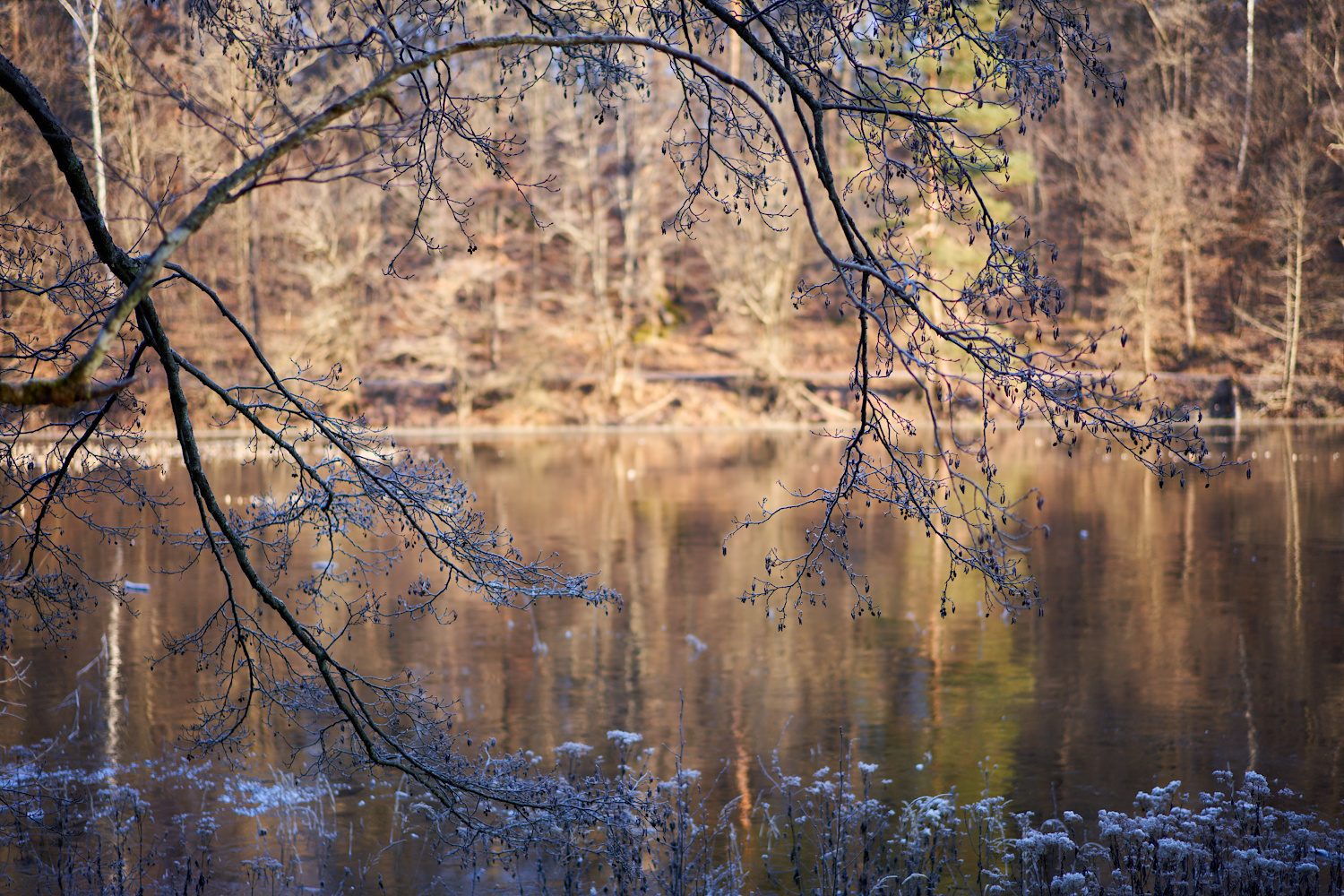 Am See