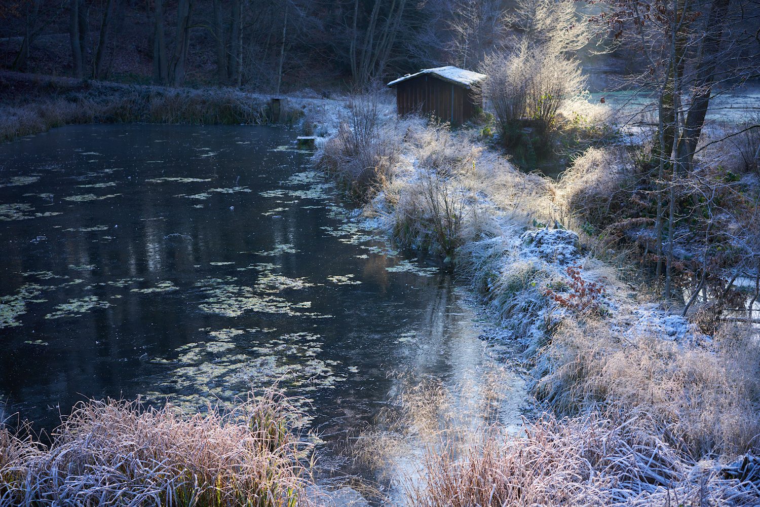 Die Hütte am Weiher