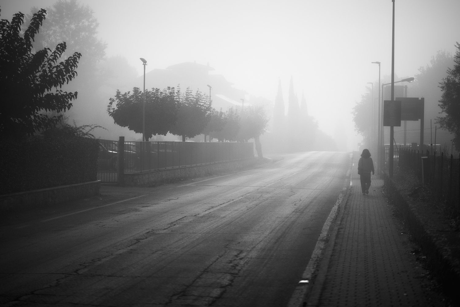 Nebliger Morgen