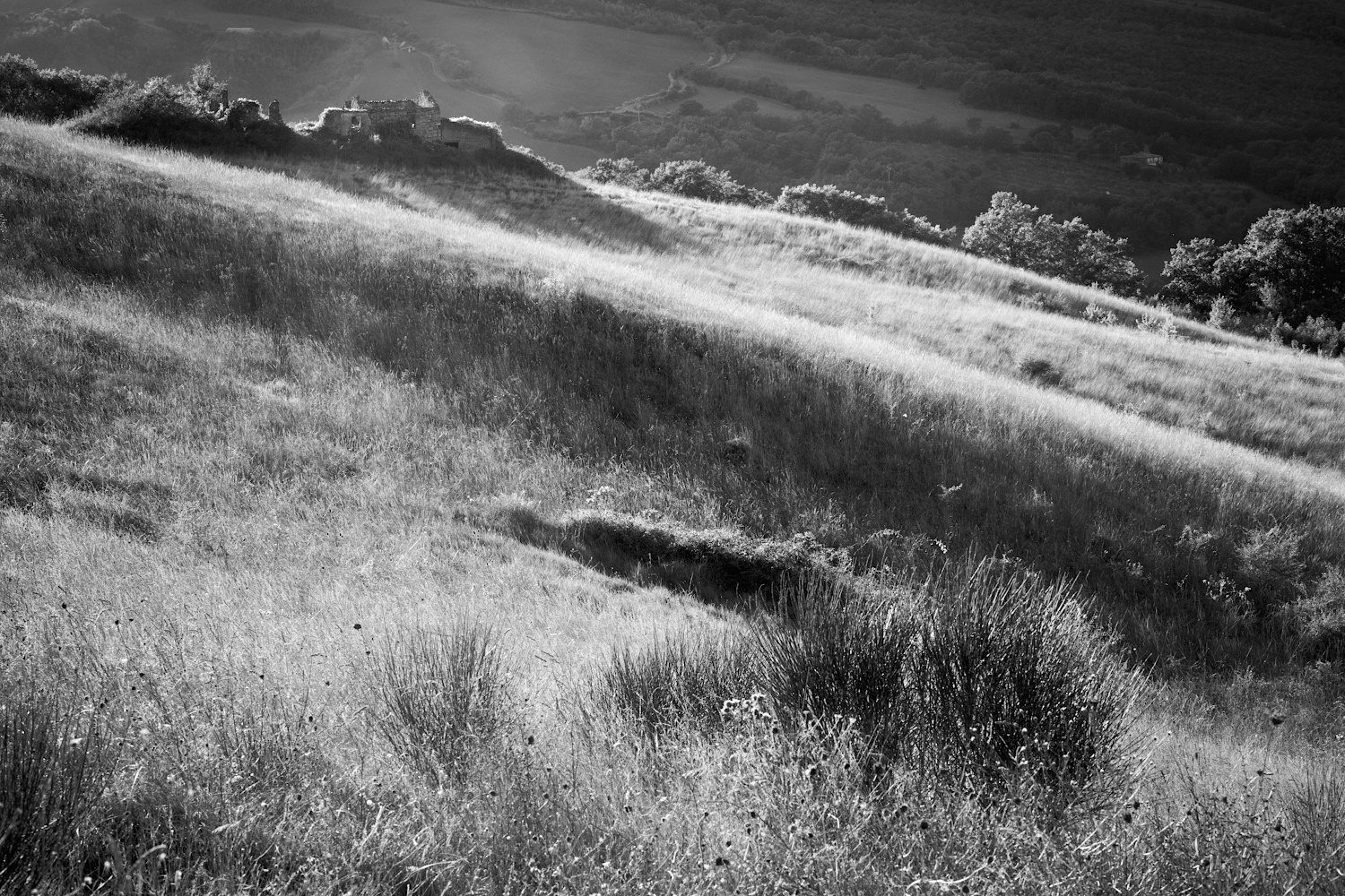 Ruine