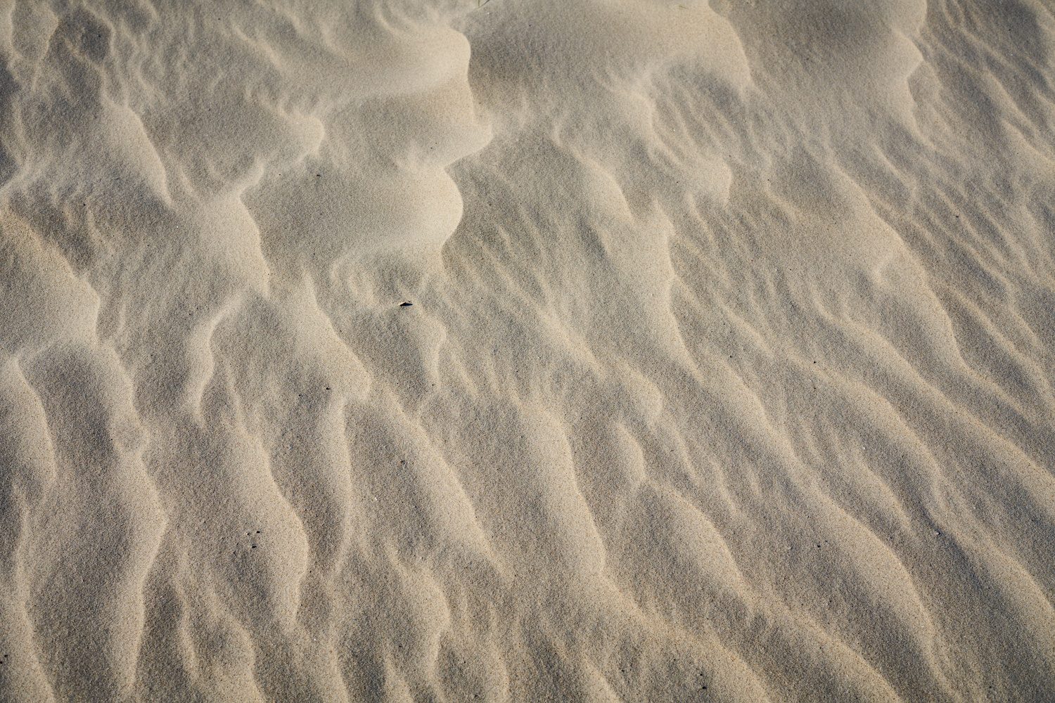 Strandmuster III