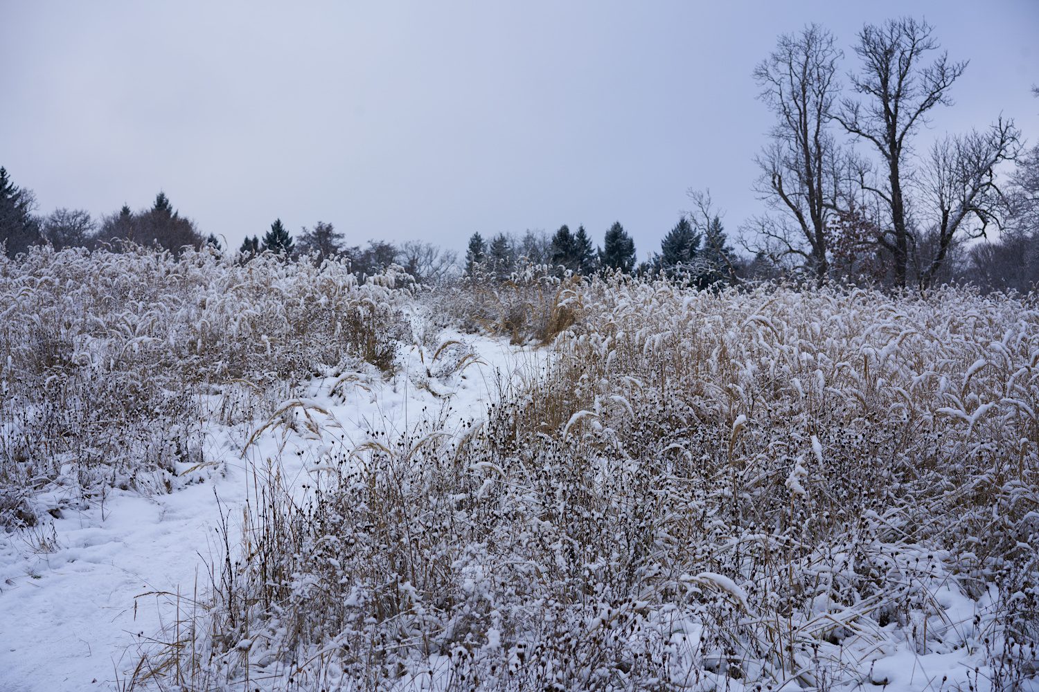Winterszenerie