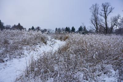 Winterszenerie