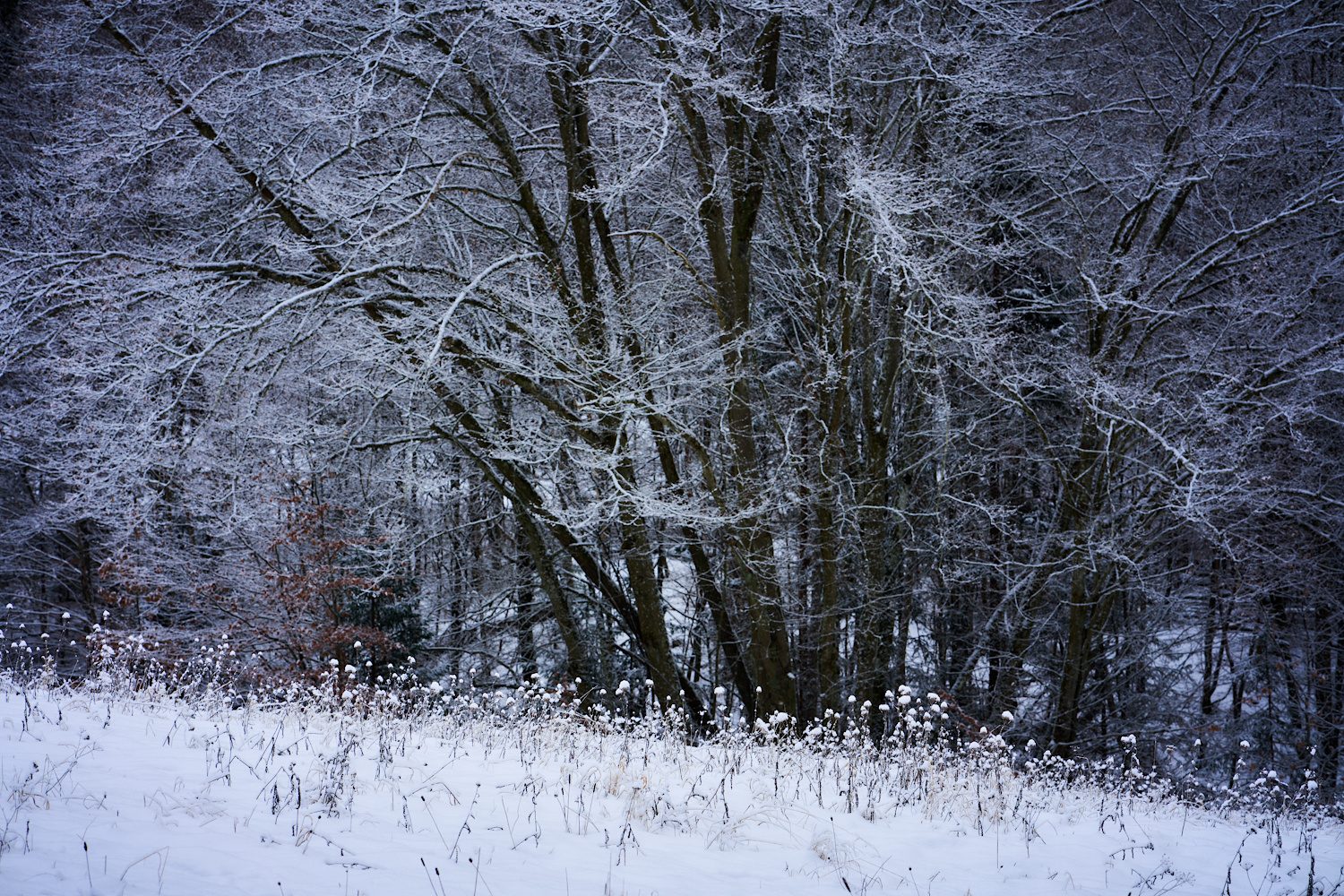 Winterwunder II