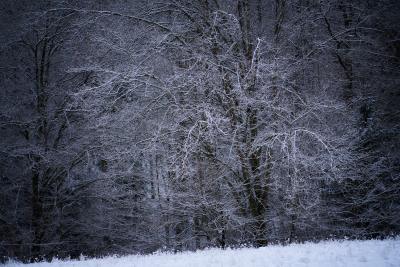 Winterwunder