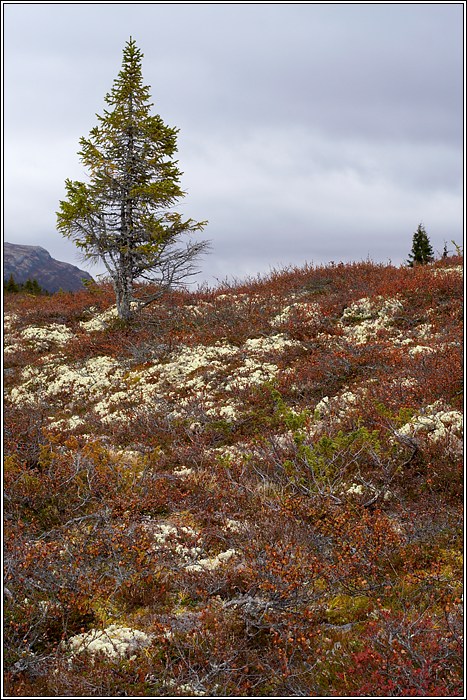 Rondane 76