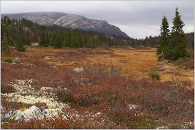 Rondane 77