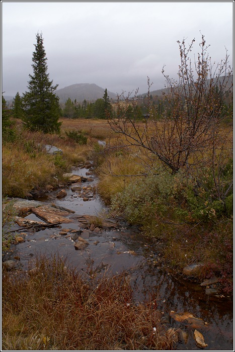 Rondane 79