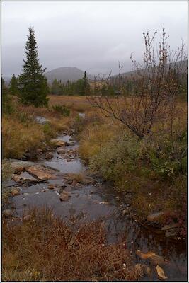 Rondane 79