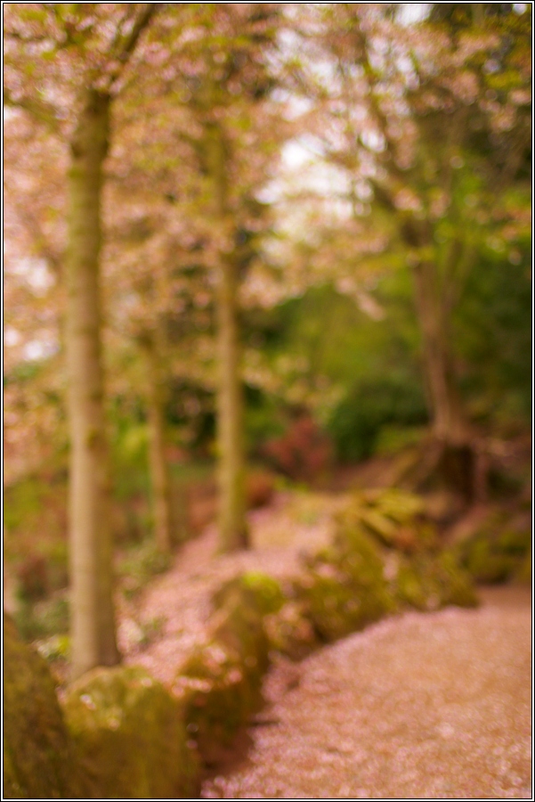 Im Japanischen Garten II