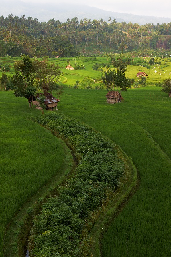Bali 33