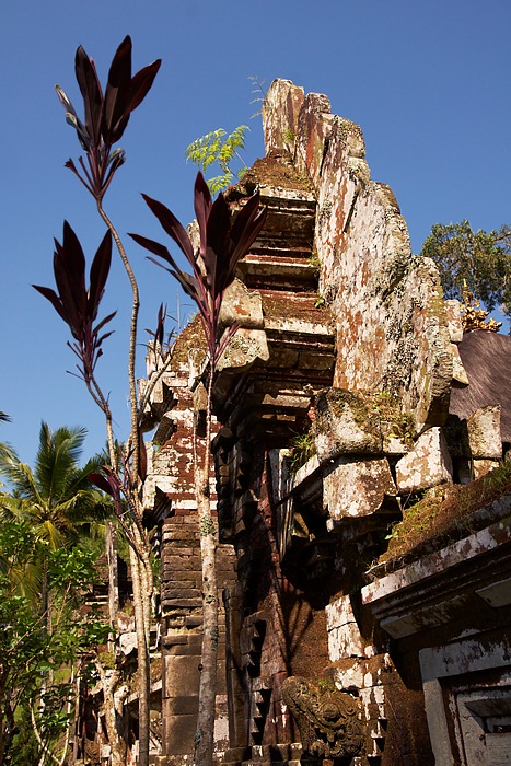 Bali 67