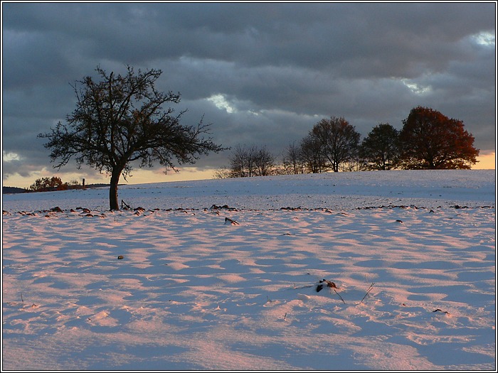 Winterabend