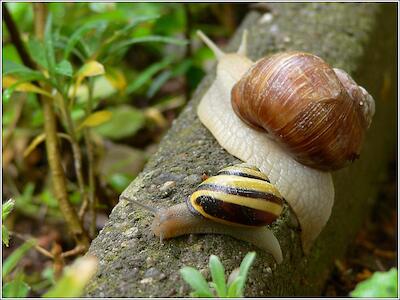 Getrennte Wege