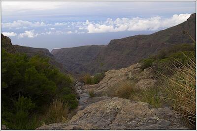 Gomera 08
