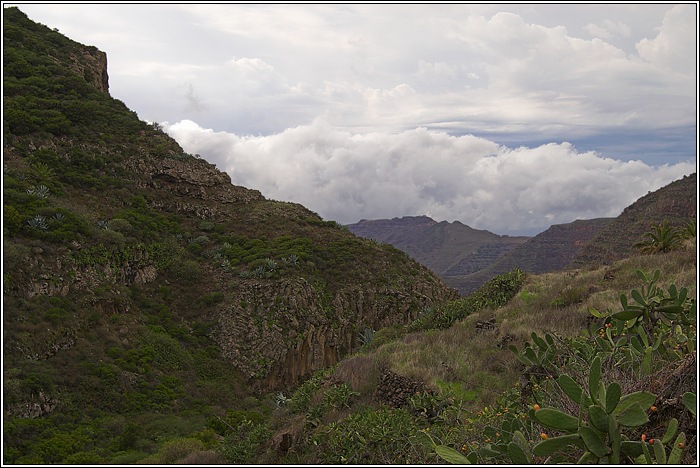 Gomera 11