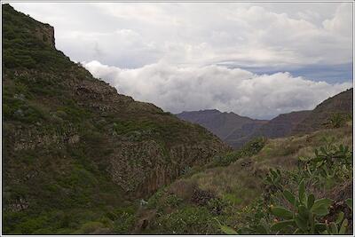 Gomera 11