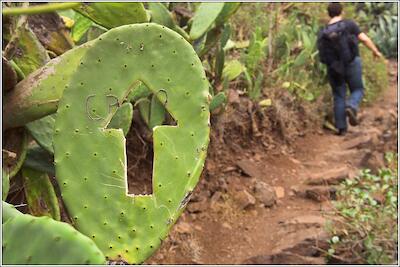 Gomera 18