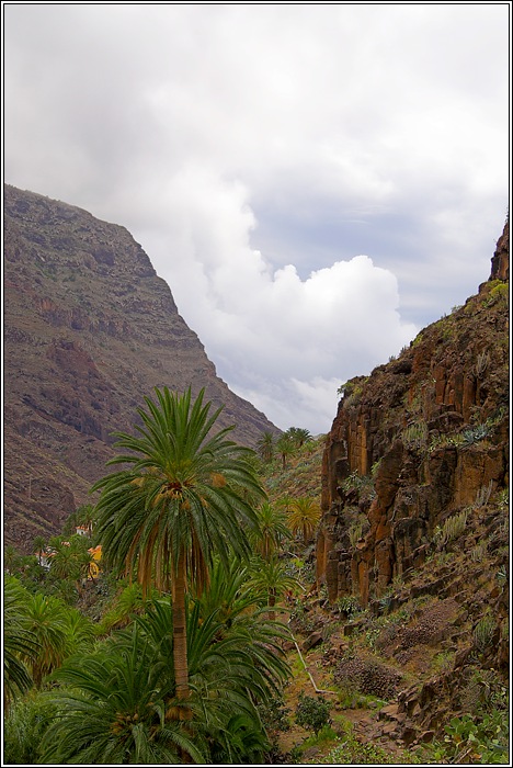 Gomera 19