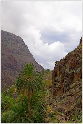 Gomera 19