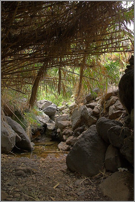 Gomera 20
