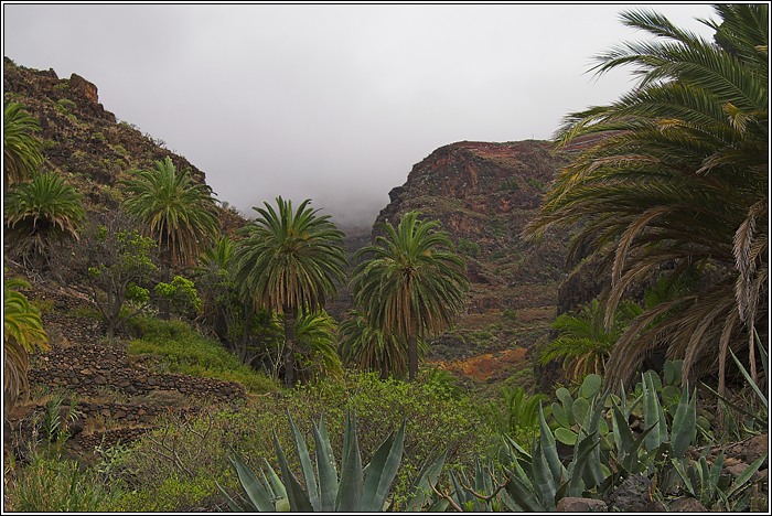 Gomera 23