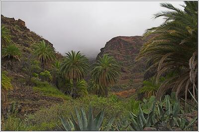 Gomera 23