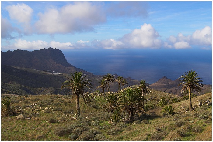 Gomera 26