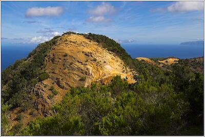 Gomera 31