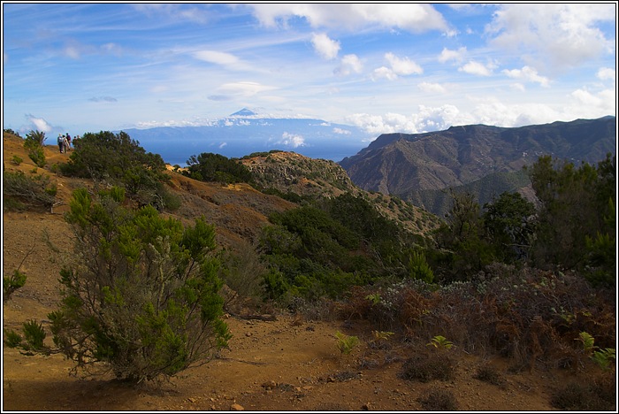 Gomera 33