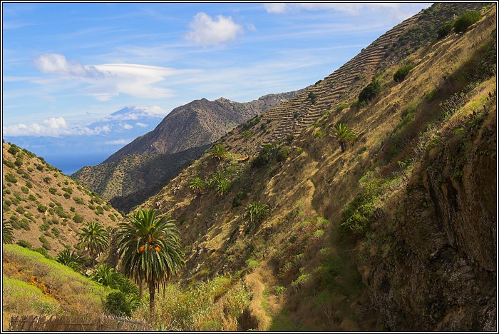 Gomera 41