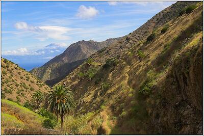 Gomera 41