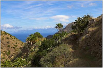 Gomera 42