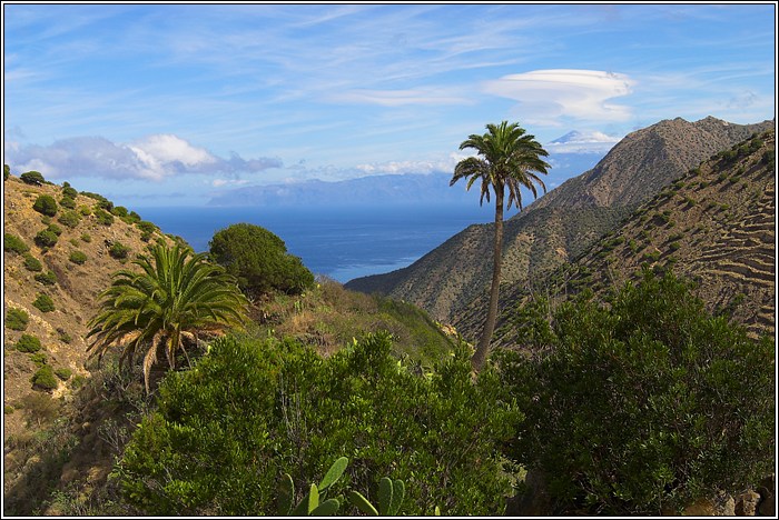 Gomera 43