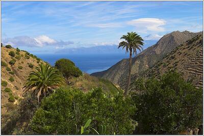 Gomera 43