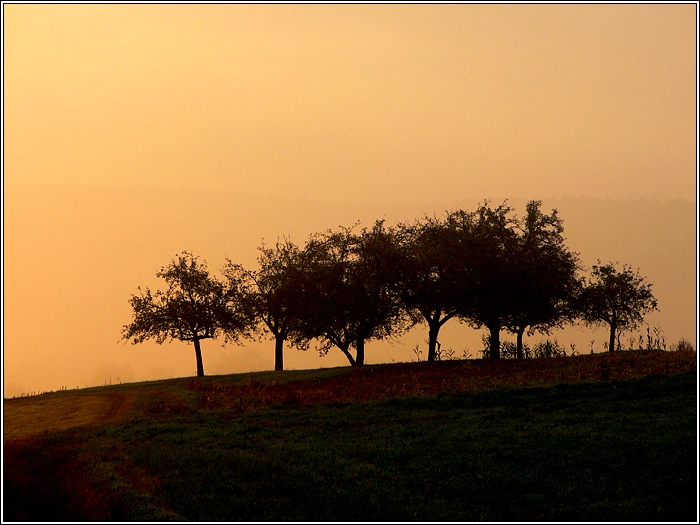 Morgenstimmung