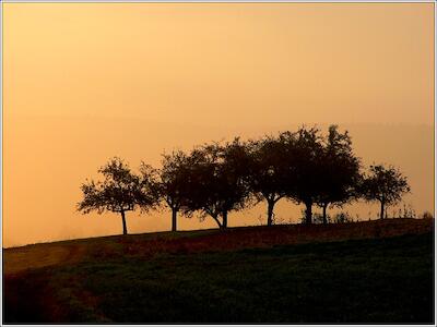 Morgenstimmung