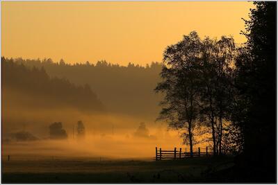 Morgenstimmung