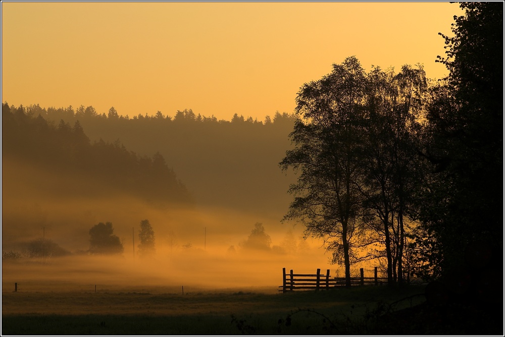 Morgenstimmung