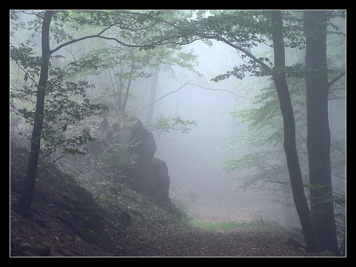 Märchenwald