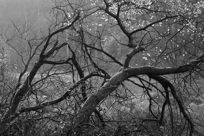 November