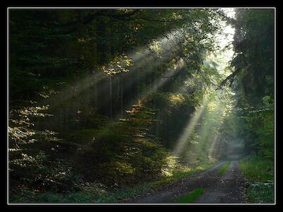 Morgenlicht