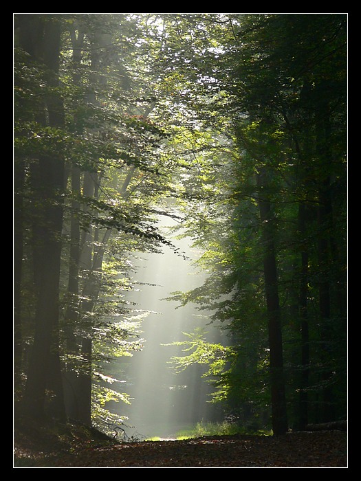 Beam me up!