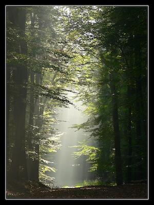 Beam me up!