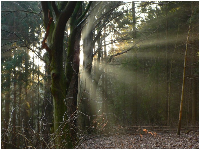 Sonnenstrahlen
