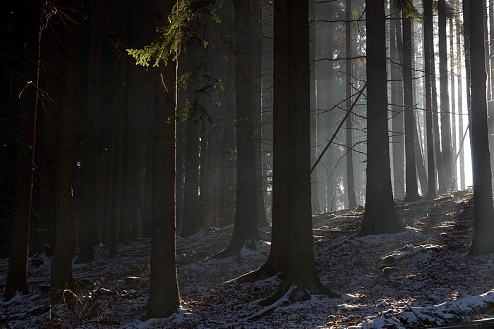Wintersonne